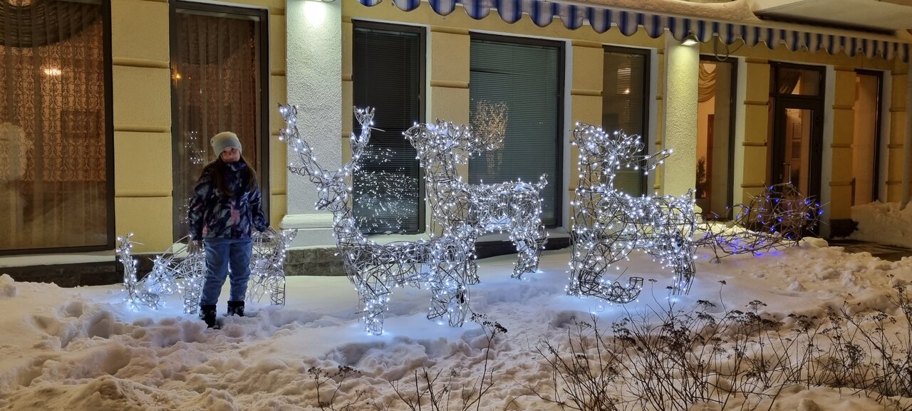 Гостиница Гранд Петергоф Петергоф-82