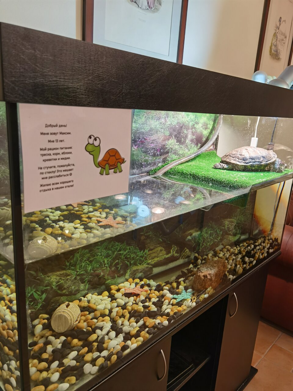 Гостиница Гранд Петергоф Петергоф-229