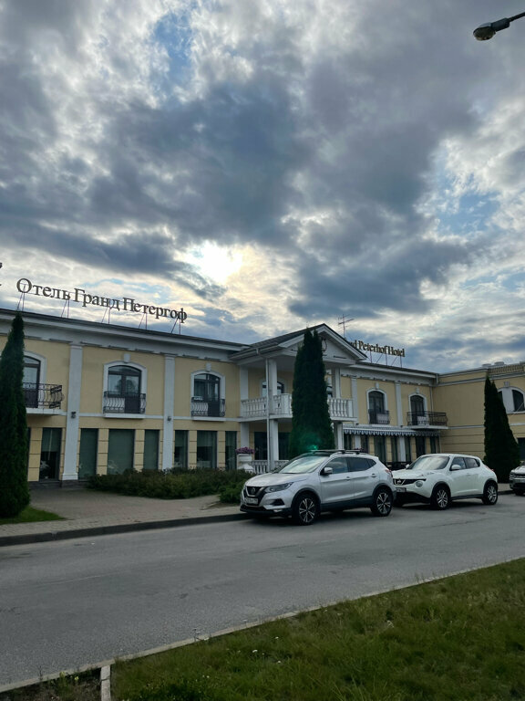 Гостиница Гранд Петергоф Петергоф-100