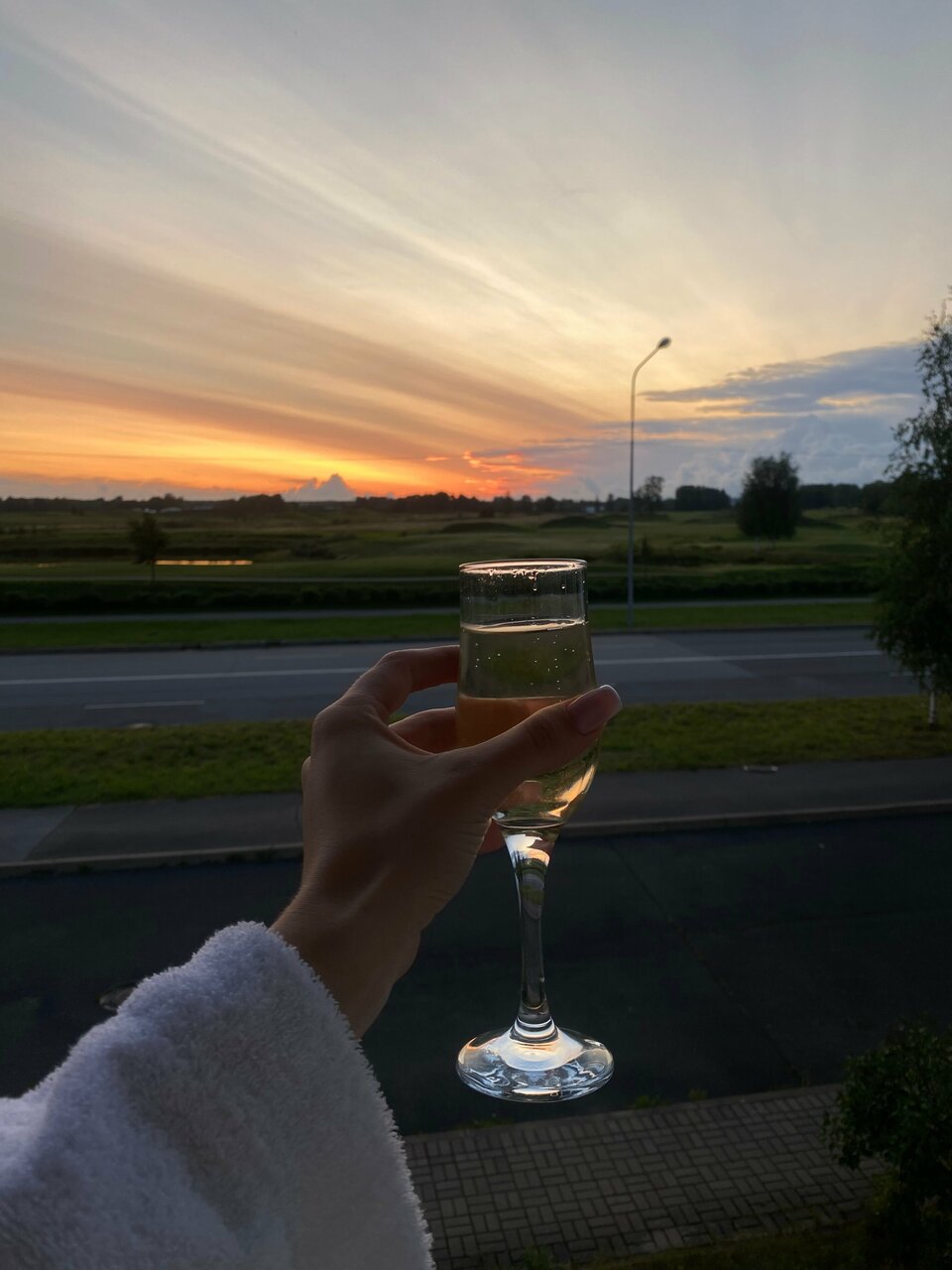 Гостиница Гранд Петергоф Петергоф-96