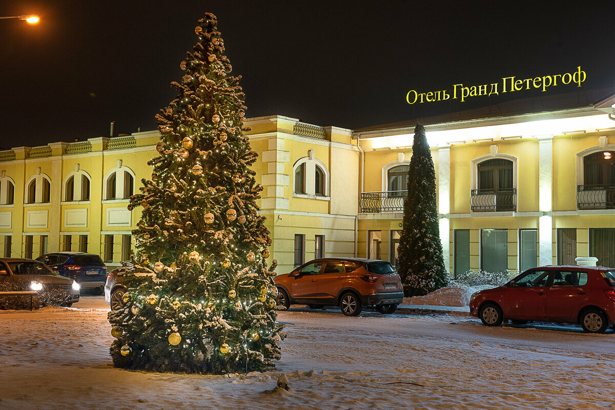Гостиница Гранд Петергоф Петергоф-41