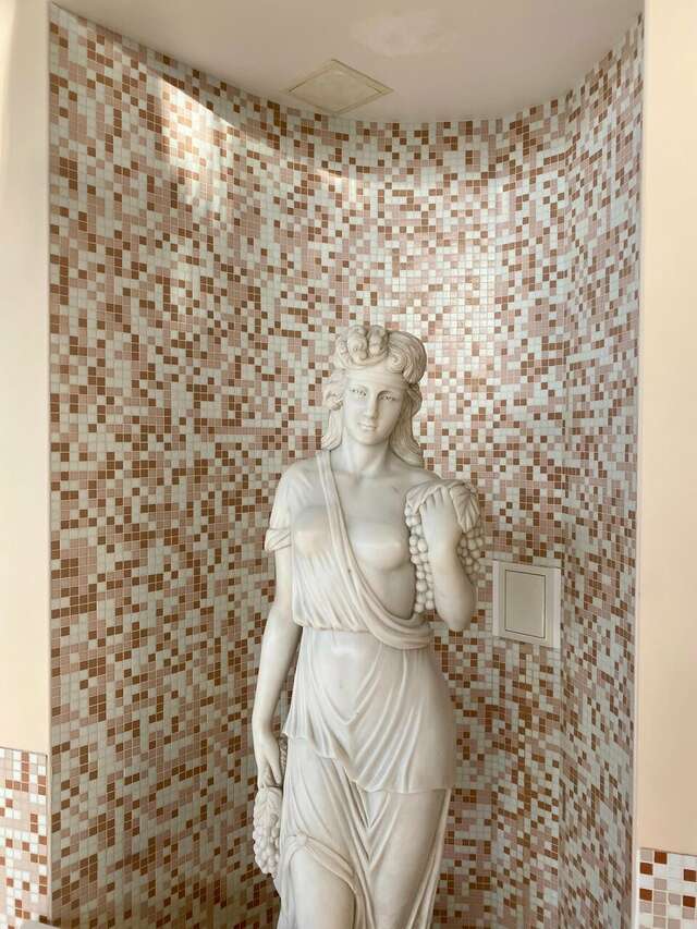 Гостиница Гранд Петергоф Петергоф-223