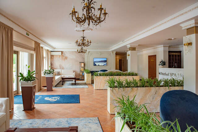 Гостиница Гранд Петергоф Петергоф-15