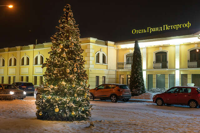 Гостиница Гранд Петергоф Петергоф-40