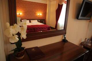 Гостиница Гранд Петергоф СПА Отель Петергоф Стандартный двухместный номер с 1 кроватью или 2 отдельными кроватями-4